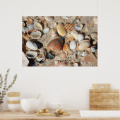1 vierkante voet schelpen poster (Keuken)