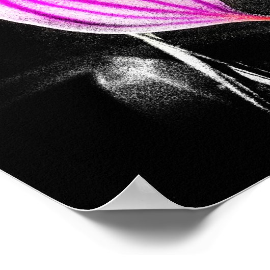 1 x 1 Ratio Black Orchid Print Img5480 (Hoek)