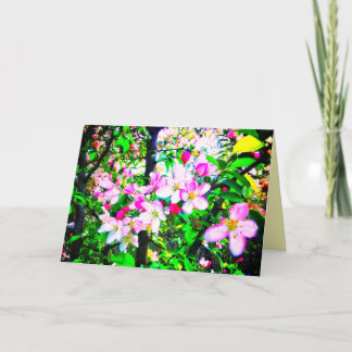 1APPLE BLOESEMS HELDER KLEIN WENSKAART KAART