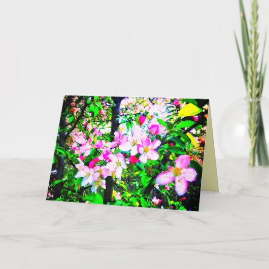 1APPLE BLOESEMS HELDER KLEIN WENSKAART KAART (Voorkant)