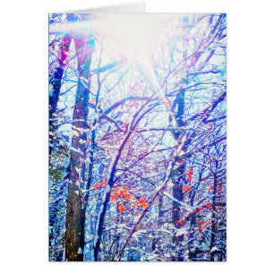 1Carte Sun hiver