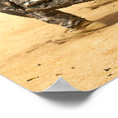 1e CAV Poster (Hoek)