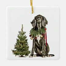 1e kerstmis Furever Thuis, Dogue de Bordeaux, Groe