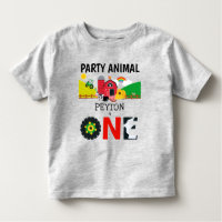 1e verjaardag één jaar oud Boerderij Dierenvee