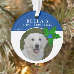 1er Noël de chiot Holly Berry Photo de chien anima