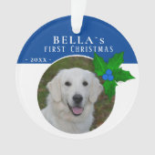 1er Noël de chiot Holly Berry Photo de chien anima (devant)