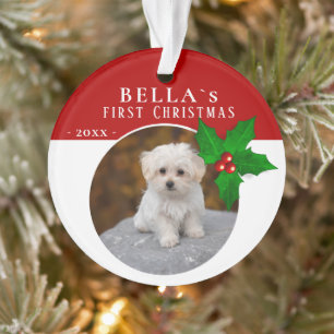 1er Noël de chiot Holly Berry Photo de chien anima
