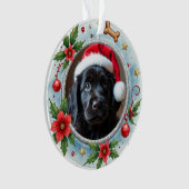 1er Noël Pawfect Beginnings recto-verso (devant)