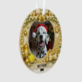 1er Noël Paws & Presents Premier Noël (devant)