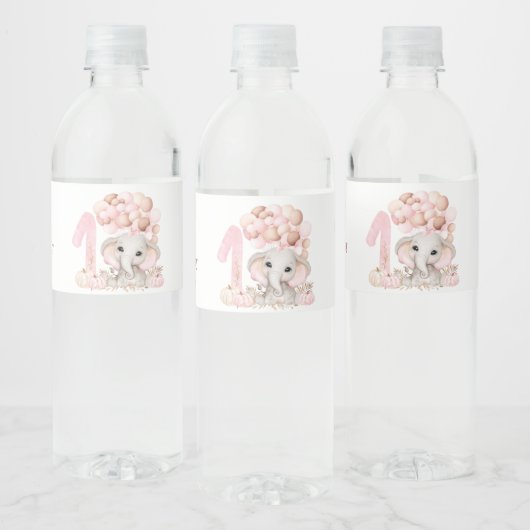 1ère fête d'anniversaire | Fille | Étiquette de bo (Bouteilles)