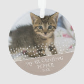 1ère photo de chat Noël (dos)