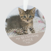 1ère photo de chat Noël (devant)