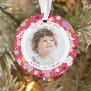 1ère photo de noël bébé floral mignon tendance