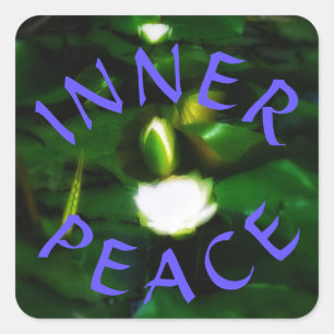 1INNER VREDESPLEIN sticker