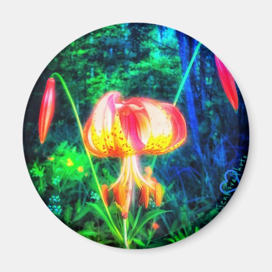 1MICHIGAN LILLY MAGNET (Devant)