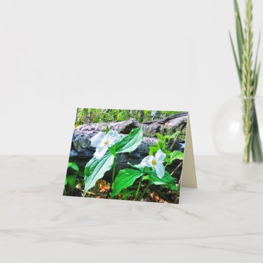 1TRILLIUMS-WENSKAART KAART (Voorkant)