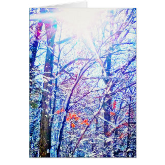 1Winter Sun Kaart