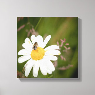 1x1 Collectie, Bloem met Honingbij Canvas Afdruk