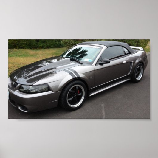 2000 mustang bt converteerbaar poster (Voorkant)