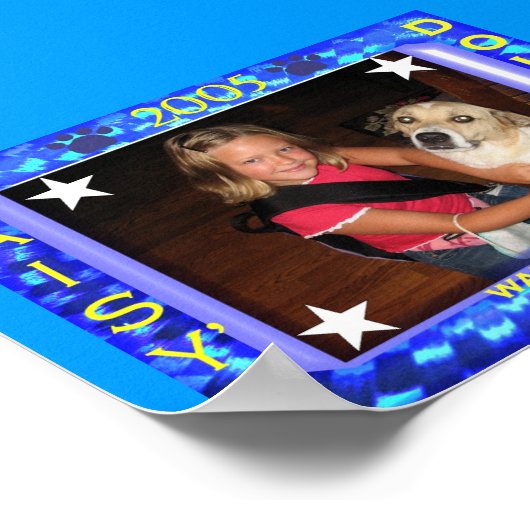 2005 Walk for Diabetes Poster (Hoek)