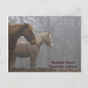 20071221_0021_r1, Rawhide RanchNashville, Indiana Briefkaart