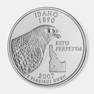 2007 Idaho State Quarter magneet