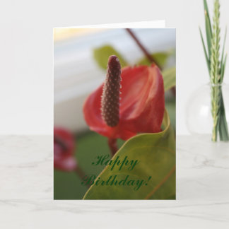 20080427_4, Gelukkige Verjaardag! Kaart