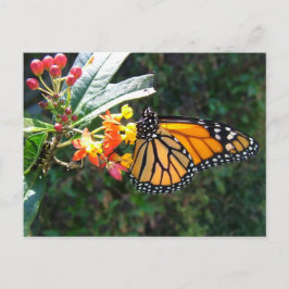 2008_0109_114022 BRIEFKAART