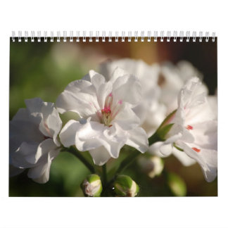 2008 Flowers Photo Calendar Kalender