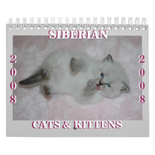 2008 Siberische katten Agenda2 sm Kalender