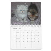 2008 Siberische katten Agenda2 sm Kalender (Feb 2026)