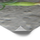 2009-1008 — Afdruk/poster Poster (Hoek)