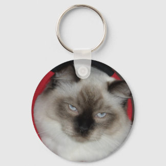 2009_12090051 SLEUTELHANGER