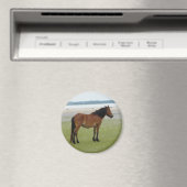 2009-7-20 Shackleford Banken 00028 Magneet (Insitu (Vaatwasser))