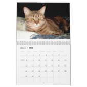 2009 aimant le calendrier sauvage de chat de Feral (Mar 2026)