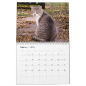 2009 aimant le calendrier sauvage de chat de Feral (Feb 2026)