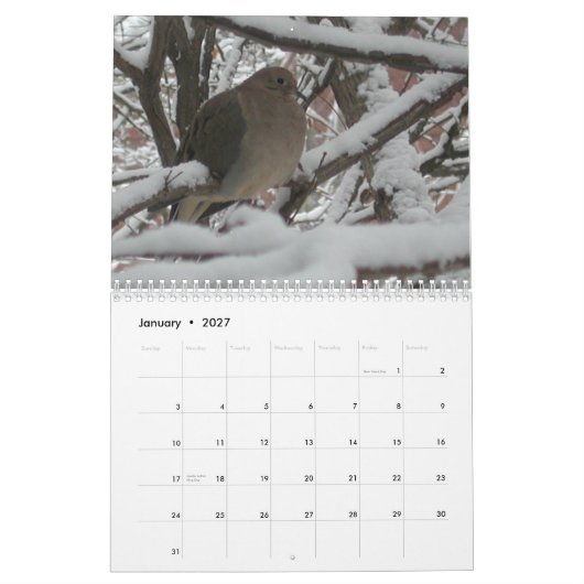 2009 calendriers "du jardin de l'homosexuel" (Jan 2027)