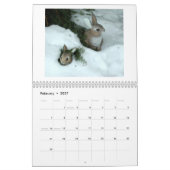 2009 calendriers "du jardin de l'homosexuel" (Feb 2027)