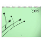 2009, van Little Grey Pixel Kalender (Hoes)