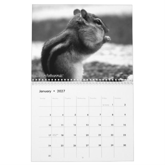 2010 Chipmunk Agenda Kalender (Jan 2027)