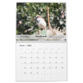 2010 oiseaux de calendrier du Texas du sud (Mar 2026)
