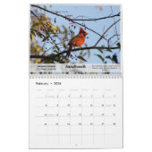 2010 oiseaux de calendrier du Texas du sud (Feb 2026)