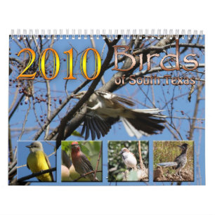 2010 oiseaux de calendrier du Texas du sud