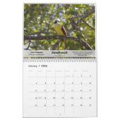 2010 oiseaux de calendrier du Texas du sud (Jan 2026)