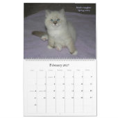 2010 Sibériens Chats & Chatons Calendrier 2 (Feb 2027)