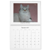 2010 Sibériens Chats & Chatons Calendrier 2 (Jan 2027)