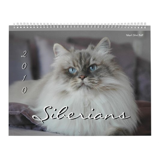 2010 Sibériens Chats & Chatons Calendrier 2 (Protection)