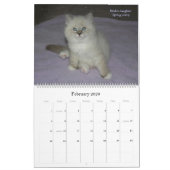2010 Sibériens Chats & Chatons Calendrier 2 (Feb 2026)