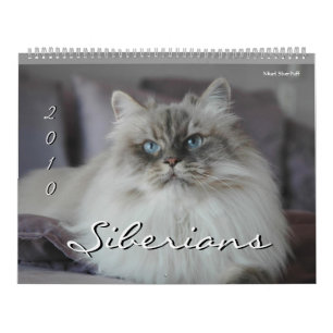 2010 Sibériens Chats & Chatons Calendrier 3