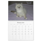 2010 Sibériens Chats & Chatons Calendrier 3 (Feb 2026)